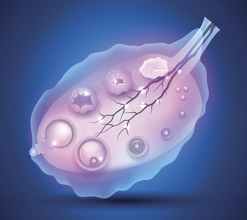 2026年深圳试管婴儿医院前十强榜单：公立三甲与正规私立机构实力解析，附卵子库、费用及参考指南